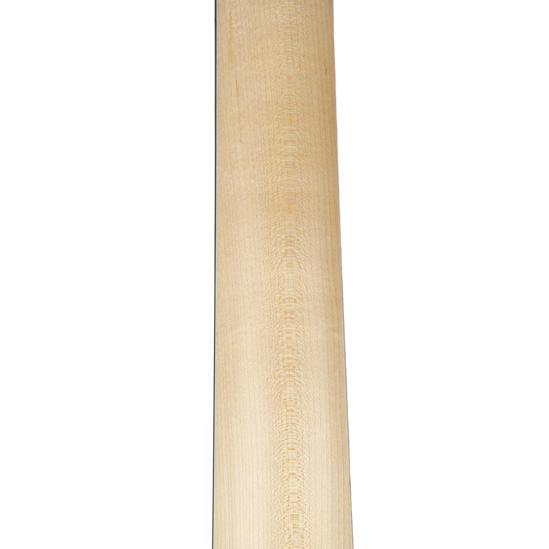 Taylor 150E Dreadnought Walnut Back And Sides Spruce Satin Sunburst Top