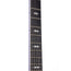 Taylor 2016 T5Z Pro - Denim