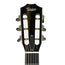 Taylor 2018 312CE 12-Fret Limited Blackwood Lutz - Namm Exclusive