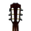 Taylor 2018 312CE 12-Fret Limited Blackwood Lutz - Namm Exclusive