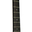 Taylor 2018 312CE 12-Fret Limited Blackwood Lutz - Namm Exclusive