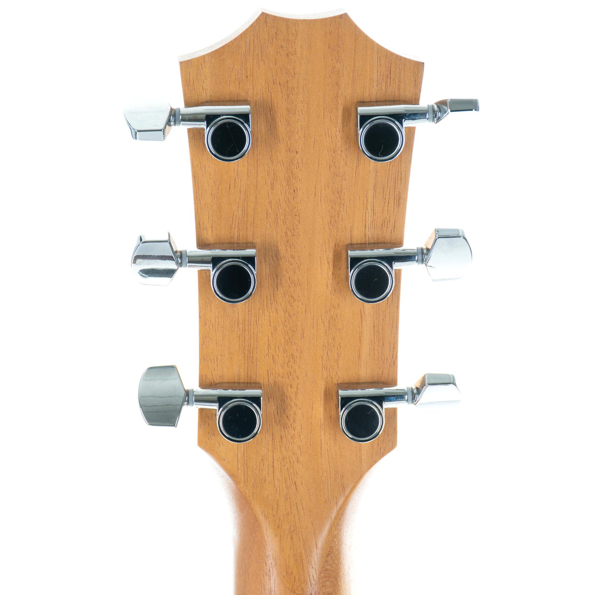 Taylor 210CE Dreadnought
