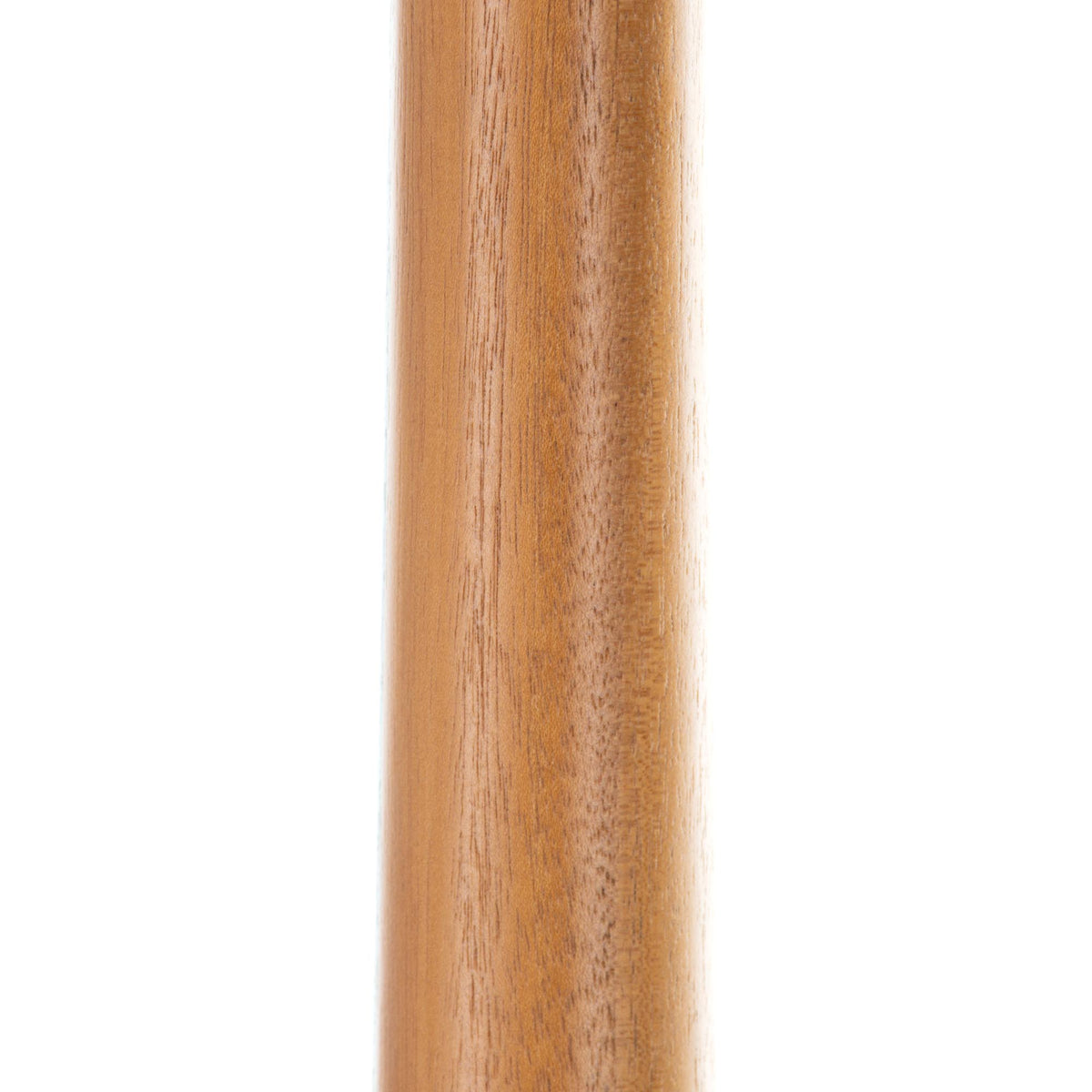 Taylor 210CE Dreadnought