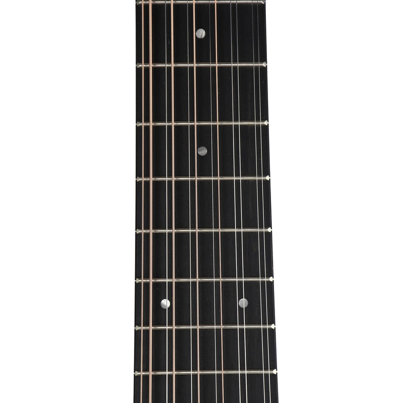 Taylor 254CE Grand Auditorium 12 String