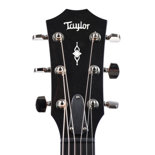 Taylor 317e Grand Pacific, Natural