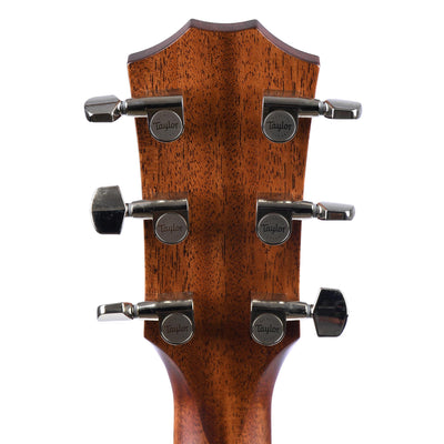 Taylor 317e Grand Pacific, Natural