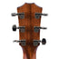 Taylor 317e Grand Pacific, Natural