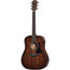 Taylor 320E Mahogany Dreadnought - Shaded Edgeburst
