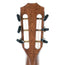 Taylor 322e 12-Fret Grand Concert Acoustic Guitar, V-Class, All Mahogany, Satin Finish