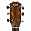 Taylor 412E Rosewood Limited Grand Concert - Natural