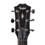 Taylor 414CE Limited Grand Auditorium Red Cedar/Ovangkol