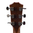Taylor 414CE Limited Grand Auditorium Red Cedar/Ovangkol