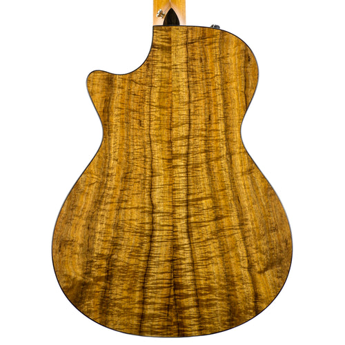 Taylor 2018 712CE 12-Fret Limited - Blackwood/Torrefied Sitka Spruce - Roadshow Exclusive