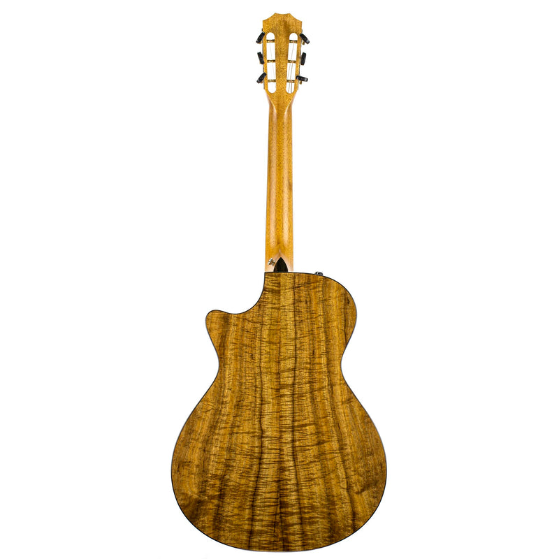 Taylor 2018 712CE 12-Fret Limited - Blackwood/Torrefied Sitka Spruce - Roadshow Exclusive
