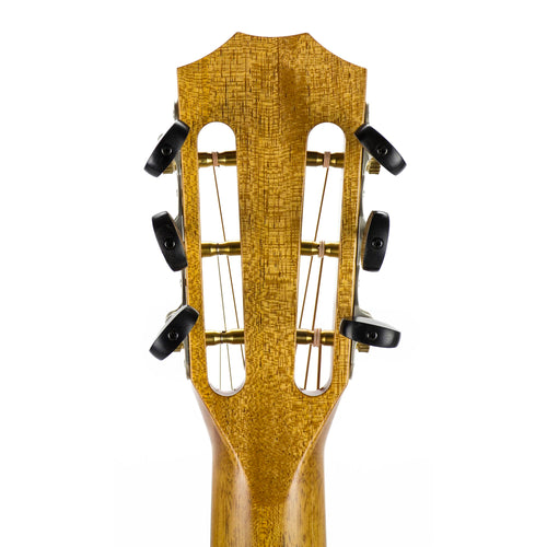 Taylor 2018 712CE 12-Fret Limited - Blackwood/Torrefied Sitka Spruce - Roadshow Exclusive