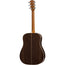 Taylor 810E - Deluxe Dreadnought
