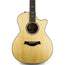 Taylor 2018 814CE Limited Cocobolo Singing Sitka, Namm Exclusive