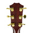 Taylor 2018 814CE Limited Cocobolo Singing Sitka, Namm Exclusive