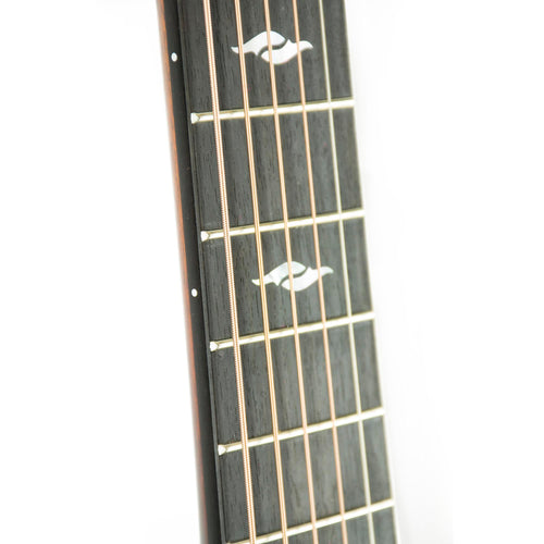 Taylor 2018 814CE Limited Cocobolo Singing Sitka, Namm Exclusive