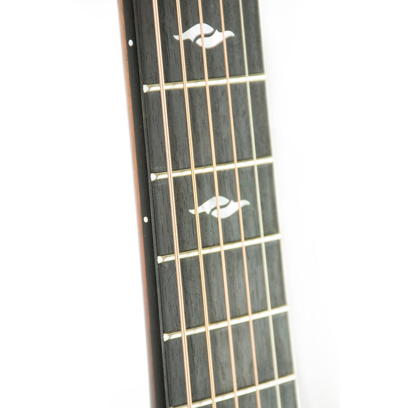 Taylor 2018 814CE Limited Cocobolo Singing Sitka, Namm Exclusive