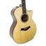 Taylor 2018 814CE Limited Cocobolo Singing Sitka, Namm Exclusive