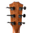 Taylor 818E Grand Orchestra V Class Bracing