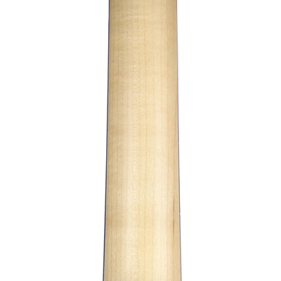 Taylor Academy Series A10E Dreadnought with Sitka Spruce Top, Back and Sides