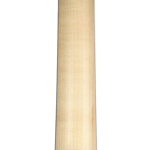 Taylor Academy Series A10E Dreadnought with Sitka Spruce Top, Back and Sides