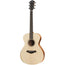 Taylor Academy Series A12 Concert