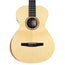 Taylor Academy Series A12E-N Nylon Concert, Lutz Spruce Top, Layered Sapele Back & Sides