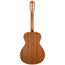 Taylor Academy Series A12E-N Nylon Concert, Lutz Spruce Top, Layered Sapele Back & Sides