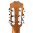 Taylor Academy Series A12E-N Nylon Concert, Lutz Spruce Top, Layered Sapele Back & Sides