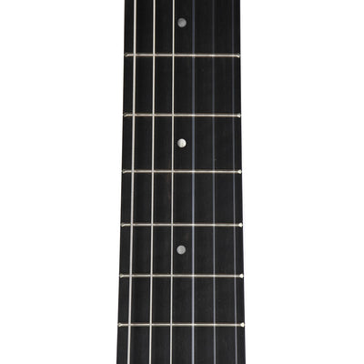 Taylor Academy Series A12E-N Nylon Concert, Lutz Spruce Top, Layered Sapele Back & Sides