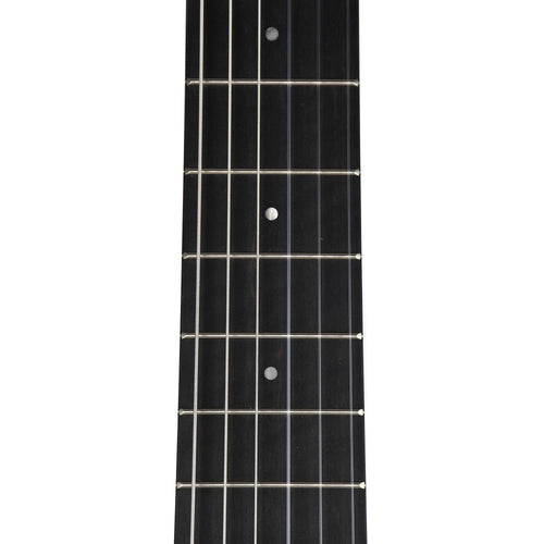 Taylor Academy Series A12E-N Nylon Concert, Lutz Spruce Top, Layered Sapele Back & Sides