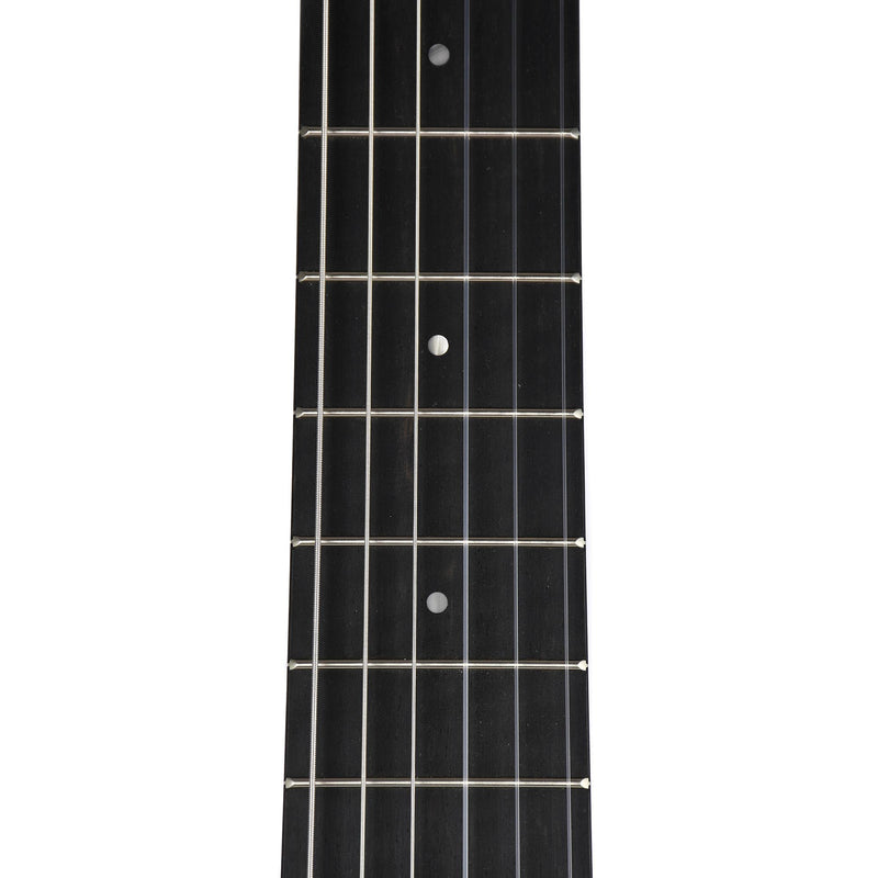 Taylor Academy Series A12E-N Nylon Concert, Lutz Spruce Top, Layered Sapele Back & Sides