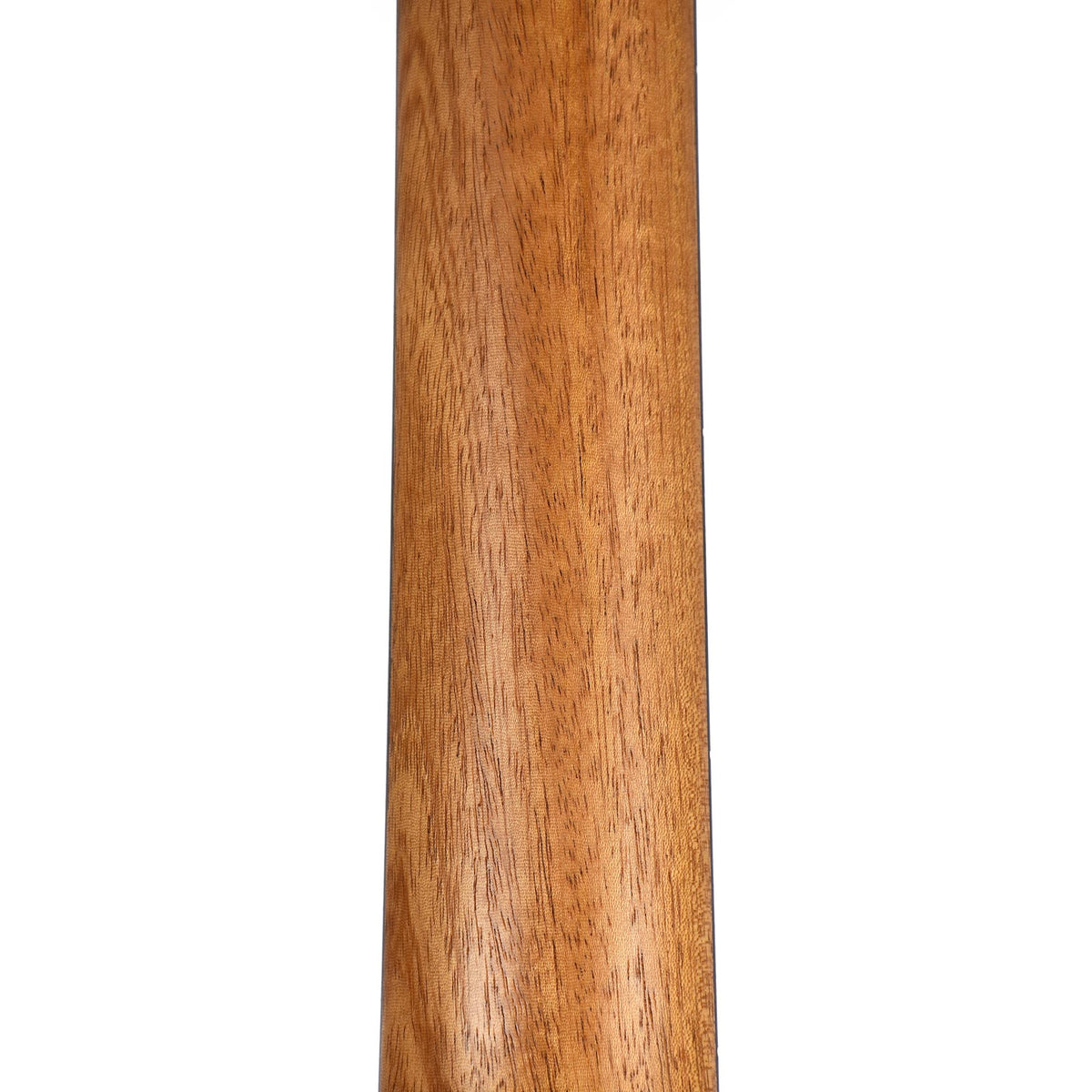 Taylor Academy Series A12E-N Nylon Concert, Lutz Spruce Top, Layered Sapele Back & Sides