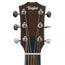 Taylor Big Baby Taylor Solid Walnut Acoustic Guitar, Top Layered Walnut Back And Sides With Electronics