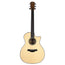 Taylor 2019 Custom Grand Auditorium Lutz Spruce/Blackheart Sassafras - BTO-11322