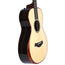 Taylor Custom Grand Concert 12 Fret Acoustic Guitar, Eurospruce Top, West African Ebony Back and Sides