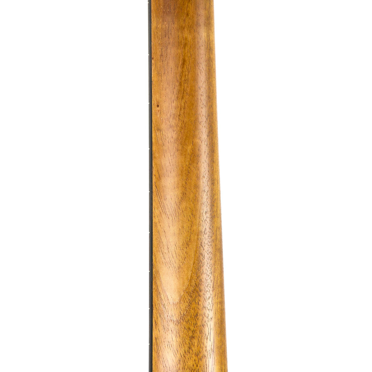 Taylor GS Mini-E FS Limited - Figured Sapele - Roadshow Exclusive