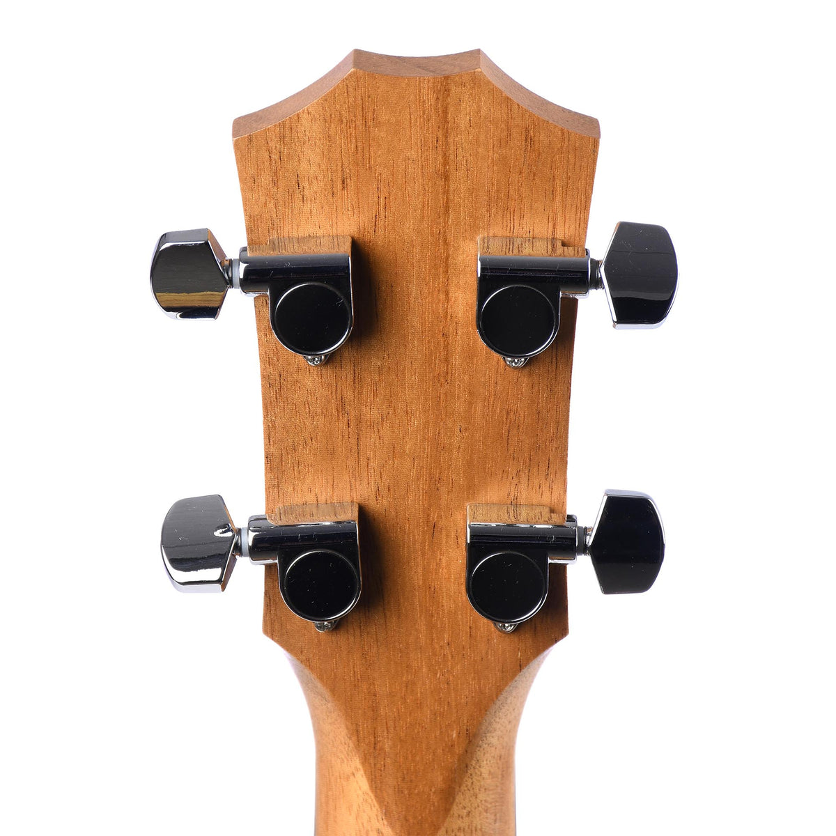 Taylor GS Mini-E Koa Bass
