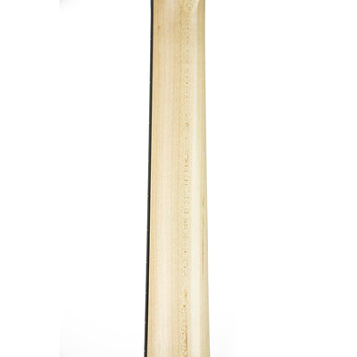Taylor GS Mini-e Maple Bass Guitar, Acoustic-Electric