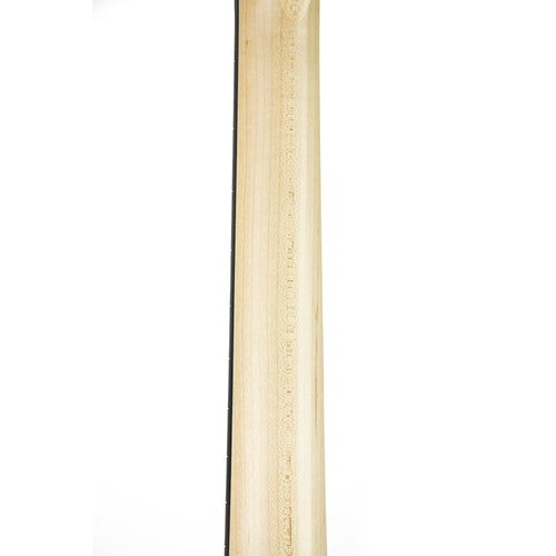 Taylor GS Mini-e Maple Bass Guitar, Acoustic-Electric