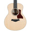 Taylor GS Mini Koa, Limited