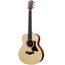 Taylor GS Mini Rosewood