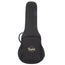Taylor GTe Mahogany Grand Theater With ES2 And Aerocase