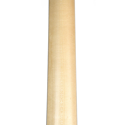 Taylor Academy 10E Lefty Dreadnought Acoustic-Electric Guitar w/Gig Bag