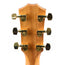 Taylor Limited 214CE DLX Figured Ovangkol