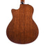 Taylor Limited 300 Series Blackwood Mahogany Baritone 6 String