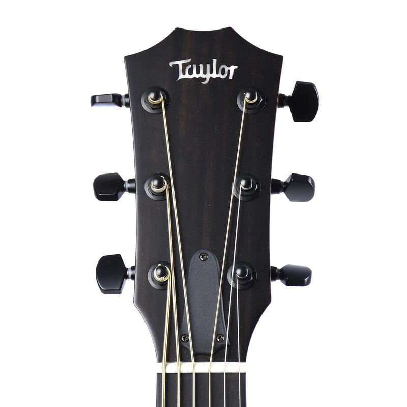 Taylor Limited 300 Series Blackwood Mahogany Baritone 6 String
